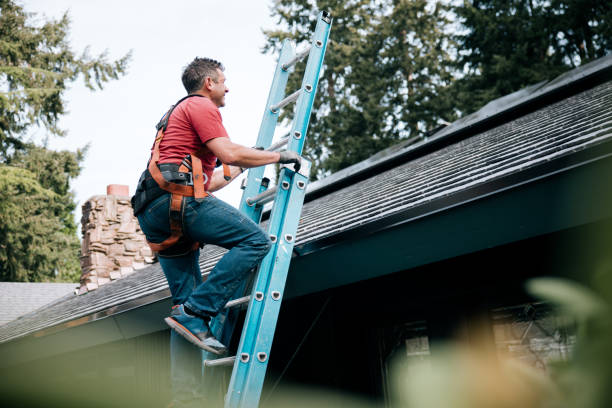 Best Roof Maintenance and Cleaning  in Winder, GA